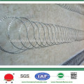 A big discount low price Hot galvanized razor barbed wire fence